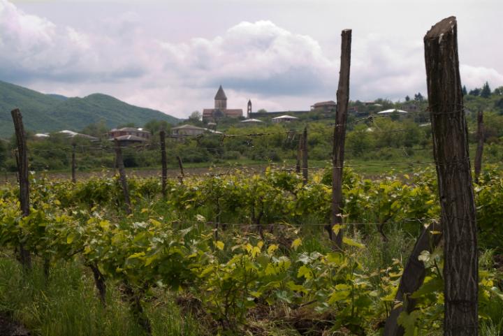 Kakheti region among 15 perfect places for Americans to emigrate to – The Telegraph geotv.ge